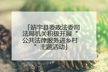 靖宇县委政法委司法局机关积极开展“公共法律服务进乡村”主题活动